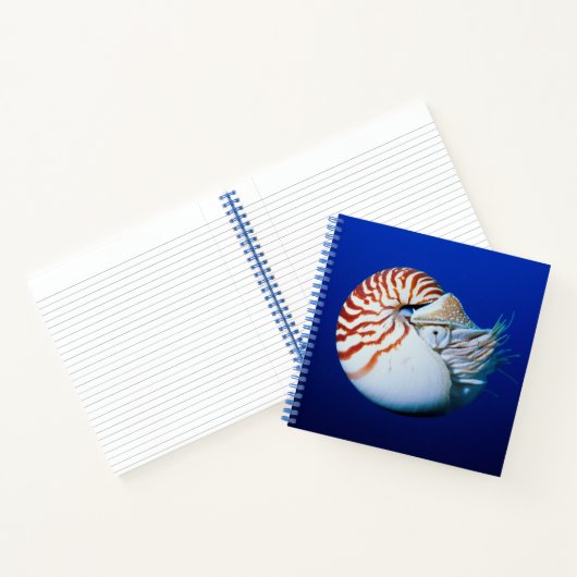 Sluiting van Chambered Nautilus Notitieboek (Binnen)