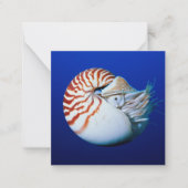 Sluiting van Chambered Nautilus Notitiekaartje (Voorkant)