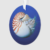 Sluiting van Chambered Nautilus Ornament (voorkant)