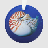 Sluiting van Chambered Nautilus Ornament (voorkant)