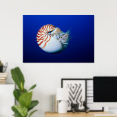 Sluiting van Chambered Nautilus Poster (Thuiskantoor)