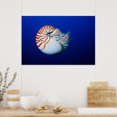Sluiting van Chambered Nautilus Poster (Keuken)
