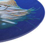 Sluiting van Chambered Nautilus Snijplank (Hoek)