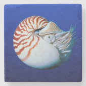 Sluiting van Chambered Nautilus Stenen Onderzetter (Voorkant)