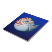 Sluiting van Chambered Nautilus Tegeltje (Zijkant)