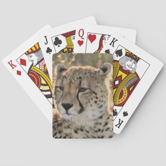 Sluiting van Cheetahs Pokerkaarten (Achterkant)