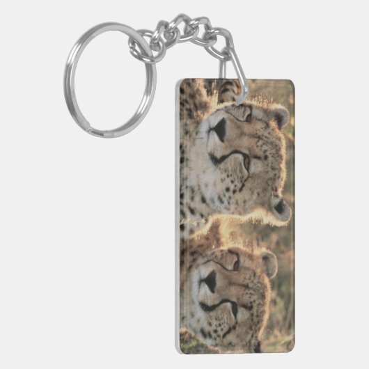 Sluiting van Cheetahs Sleutelhanger (Voorkant Links)