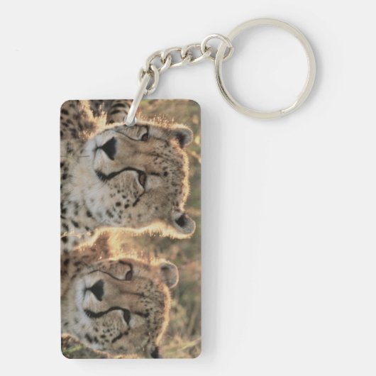 Sluiting van Cheetahs Sleutelhanger (achterkant)