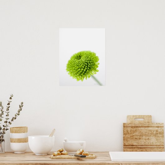 Sluiting van Chrysanthemum bloemhoofd 2 Poster (Keuken)