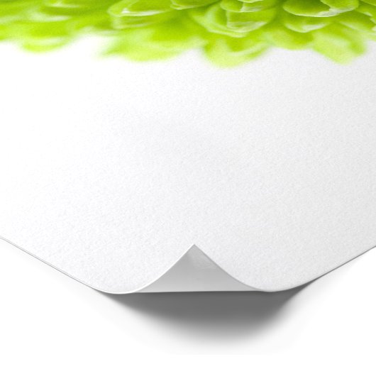 Sluiting van Chrysanthemum bloemhoofd 2 Poster (Hoek)