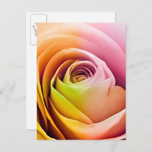 Sluiting van Colorful Roos Petals Briefkaart (Voorkant / Achterkant)