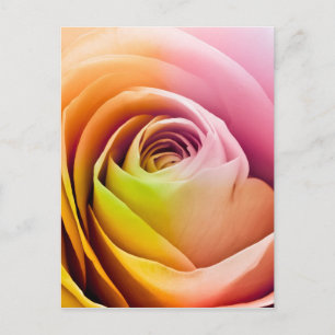 Sluiting van Colorful Roos Petals Briefkaart