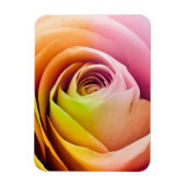 Sluiting van Colorful Roos Petals Magneet (Verticaal)