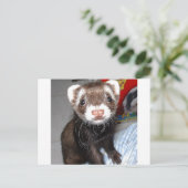 Sluiting van Cute Ferret met witte tekens op nose, Briefkaart (Staand voorkant)
