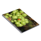 Sluiting van damestoornis op groene Pinot Noir dru Notitieboek (Rechterzijde)