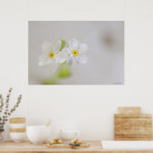 Sluiting van de bloemen 2 poster (Keuken)