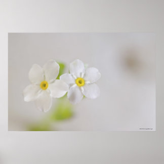 Sluiting van de bloemen 2 poster