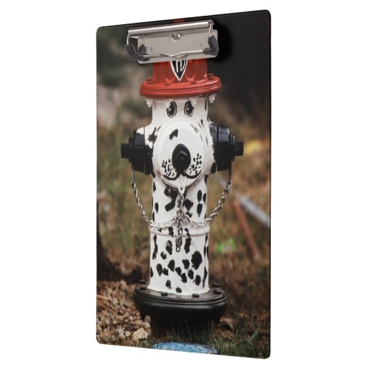 Sluiting van de brandwerendheid klembord (Links)