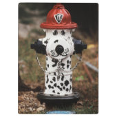 Sluiting van de brandwerendheid klembord (Achterkant)