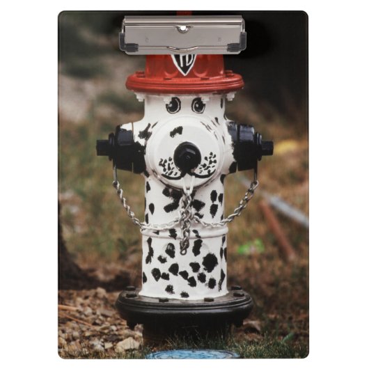 Sluiting van de brandwerendheid klembord (Voorkant)