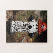 Sluiting van de brandwerendheid legpuzzel (Horizontaal)