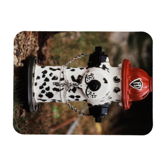 Sluiting van de brandwerendheid magneet (Horizontaal)