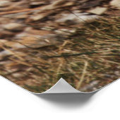 Sluiting van de brandwerendheid poster (Hoek)