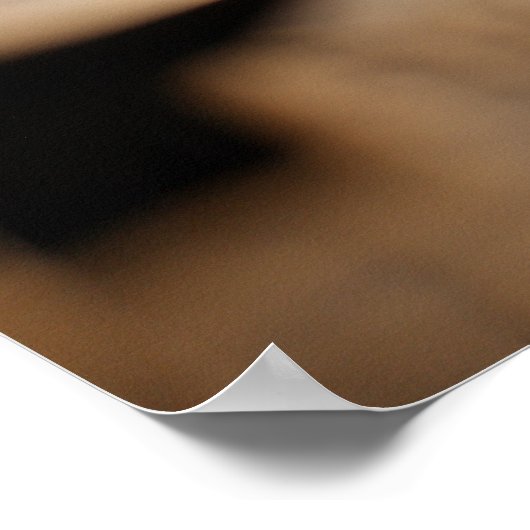 Sluiting van de Chinese munt Poster (Hoek)