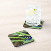 Sluiting van de Costa Ricaanse kobalt Dyeing Dart  Drankjes Onderzetter (Rechterzijde)