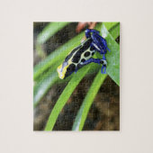 Sluiting van de Costa Ricaanse kobalt Dyeing Dart Legpuzzel (Verticaal)