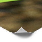 Sluiting van de Costa Ricaanse kobalt Dyeing Dart  Poster (Hoek)