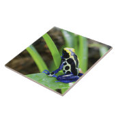 Sluiting van de Costa Ricaanse kobalt Dyeing Dart Tegeltje (Zijkant)