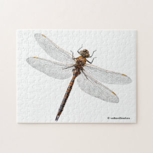 Sluiting van de Darner Dragonfly in Canada Legpuzzel