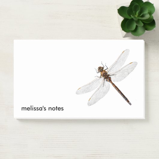 Sluiting van de Darner Dragonfly in Canada Post-it® Notes (Kantoor)