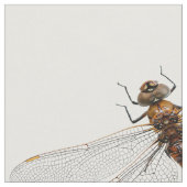 Sluiting van de Darner Dragonfly in Canada Stof (Close Up)