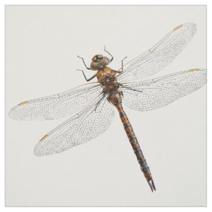 Sluiting van de Darner Dragonfly in Canada Stof
