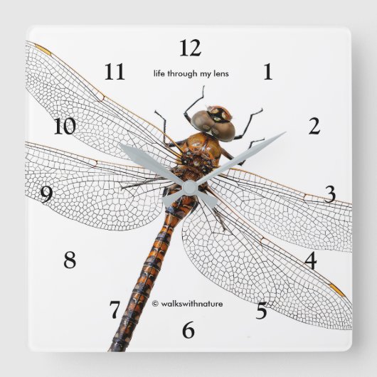 Sluiting van de Darner Dragonfly in Canada Vierkante Klok (Voorkant)