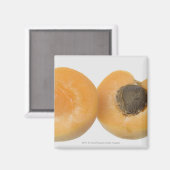 Sluiting van de dwarsdoorsnede van een pruimen magneet (Voorkant / Achterkant)