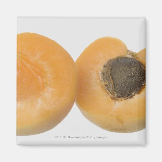 Sluiting van de dwarsdoorsnede van een pruimen magneet (Voorkant)