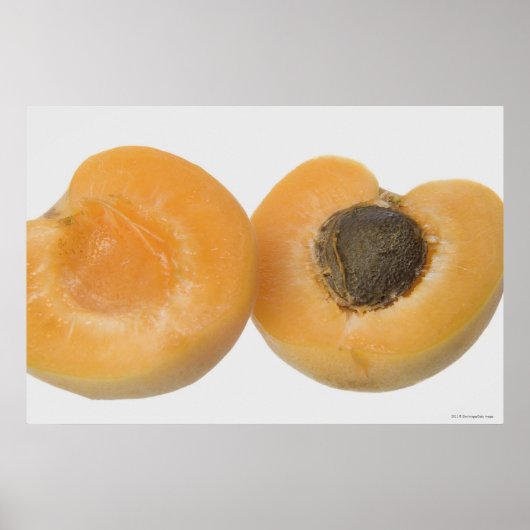 Sluiting van de dwarsdoorsnede van een pruimen poster (Voorkant)