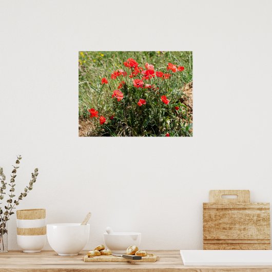 Sluiting van de folie van papaver poster (Keuken)