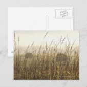 Sluiting van de fotografie van Wheat Briefkaart (Voorkant / Achterkant)