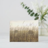 Sluiting van de fotografie van Wheat Briefkaart (Staand voorkant)