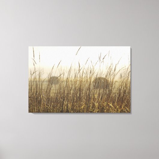 Sluiting van de fotografie van Wheat Canvas Afdruk (Voorkant)