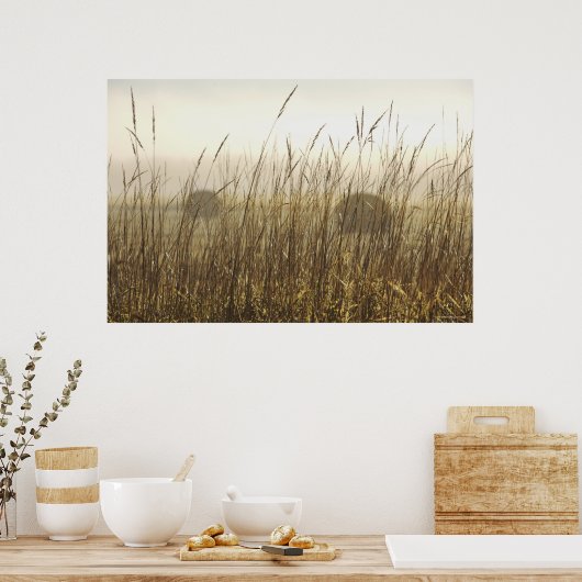 Sluiting van de fotografie van Wheat Poster (Keuken)
