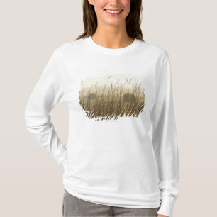 Sluiting van de fotografie van Wheat T-shirt