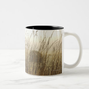 Sluiting van de fotografie van Wheat Tweekleurige Koffiemok