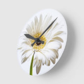 Sluiting van de Gerbera-bloem Ronde Klok (Hoek)