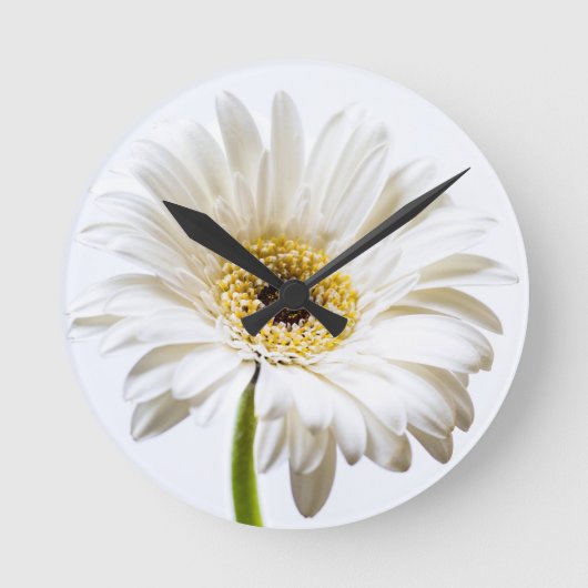 Sluiting van de Gerbera-bloem Ronde Klok (Voorkant)
