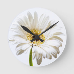 Sluiting van de Gerbera-bloem Ronde Klok